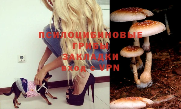 бошки Михайлов
