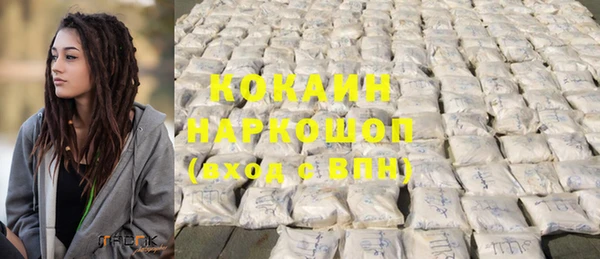 прущие грибы Михайловск